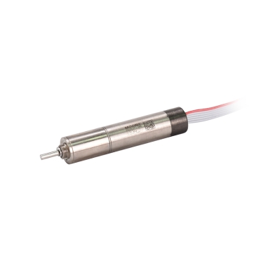 DCU10025系列有刷空心杯電機-1